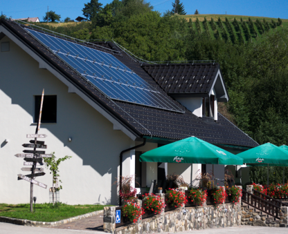 AmbientV objemu vinogradov in gozdov